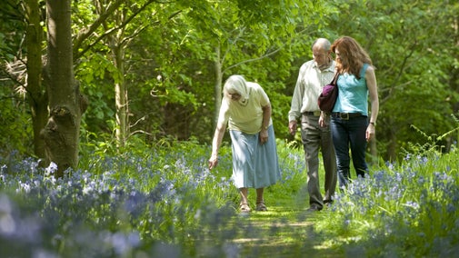 Visitors in the garden at Speke Hall, Liverpool